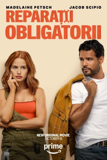 Reparații obligatorii
